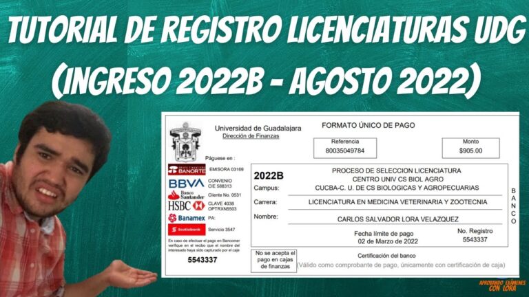 Gu&iacute;a Completa del C&oacute;digo Postal 45050