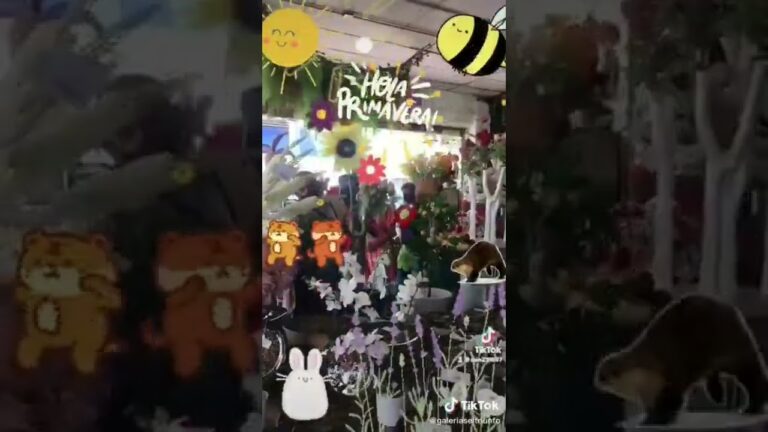 Descubre las Mejores Galerías en el Aeropuerto de El Triunfo