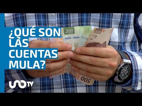 C&oacute;mo abrir una cuenta bancaria mula de forma segura