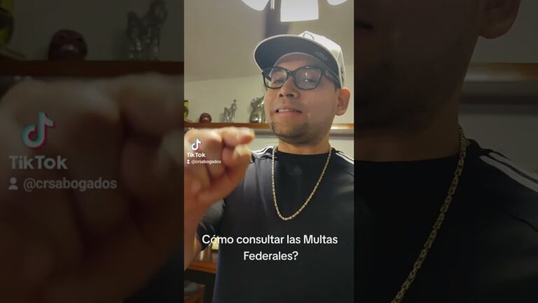 Multas Federales en L&iacute;nea: Una Gu&iacute;a Completa