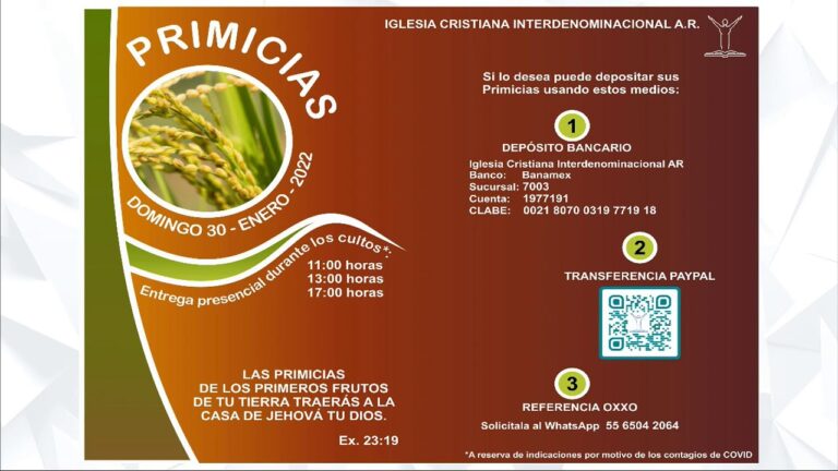 Banamex 6504: Claves para su Uso Eficiente