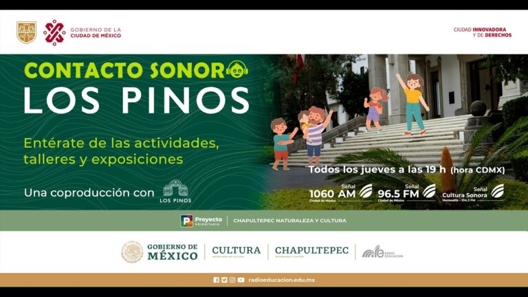 Gu&iacute;a del C&oacute;digo Postal de Los Pinos