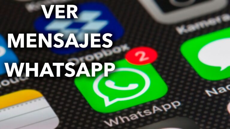 Tel&eacute;fonos para Chat Gratis: Encuentra N&uacute;meros para Conectar