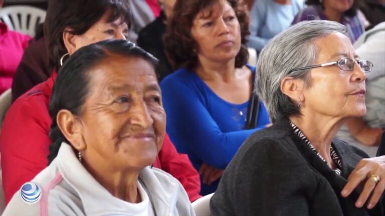 Gu&iacute;a sobre las UMAS en el IMSS