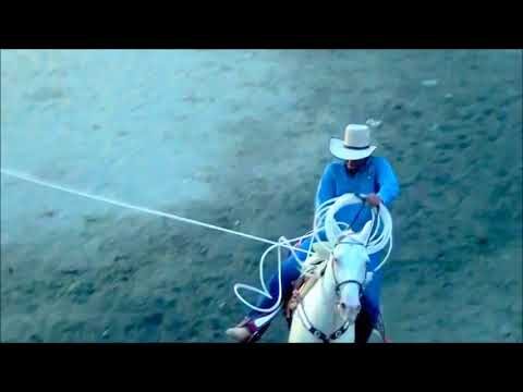 Todo lo que necesitas saber sobre el código postal de Temixco