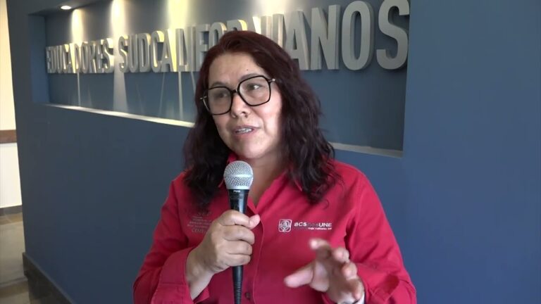 Baja Financiera en BCS: Retos y Oportunidades