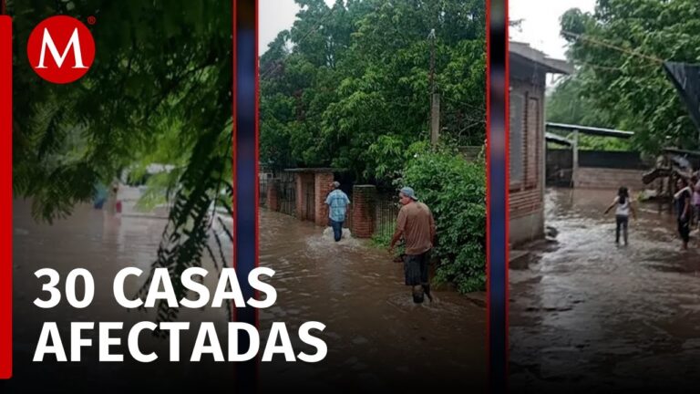 Últimas Noticias de Río Verde, San Luis Potosí