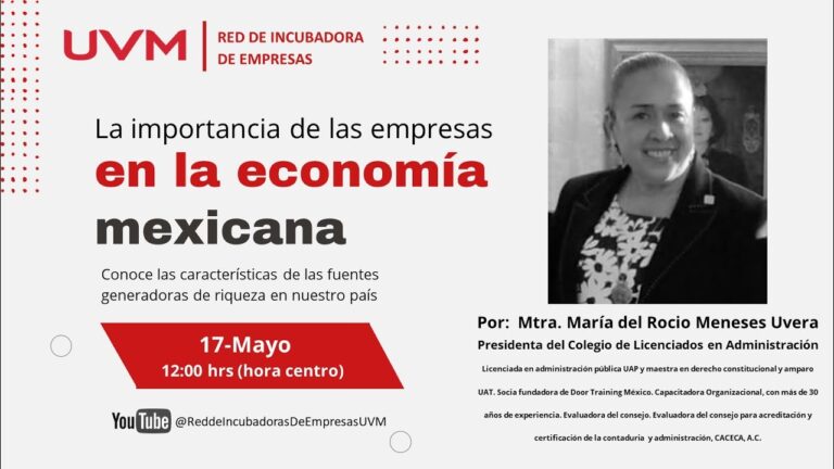 La Importancia de las Empresas en México