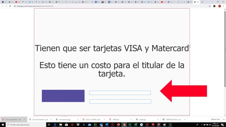 Pago Seguro con Visa: Gu&iacute;a R&aacute;pida y Efectiva