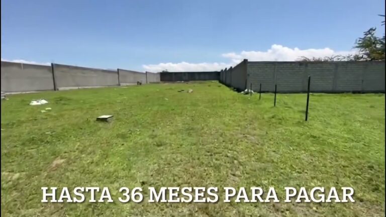 Todo sobre OXXO Yecapixtla: Historia, Servicios y Ubicaci&oacute;n