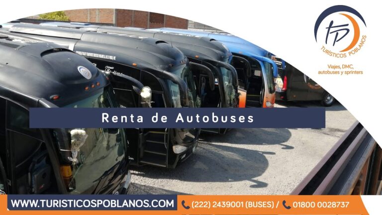 Alquiler de Autobuses en Tabasco: Todo lo que Necesitas Saber