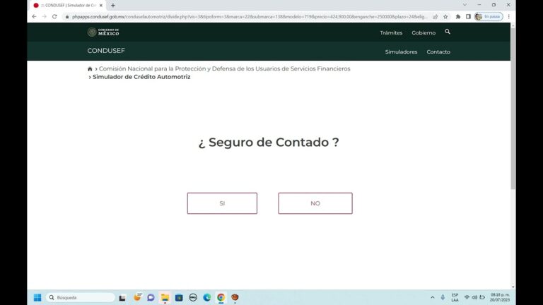 Gu&iacute;a Completa del Simulador de Cr&eacute;dito de Auto