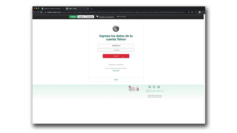Consulta Simplificada de tu Recibo Mi Telnor