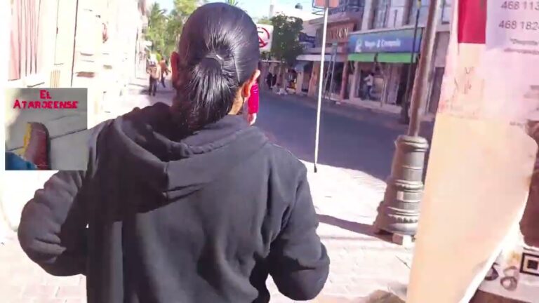 Hogar y Comercio en San Luis de la Paz: Un An&aacute;lisis Integral