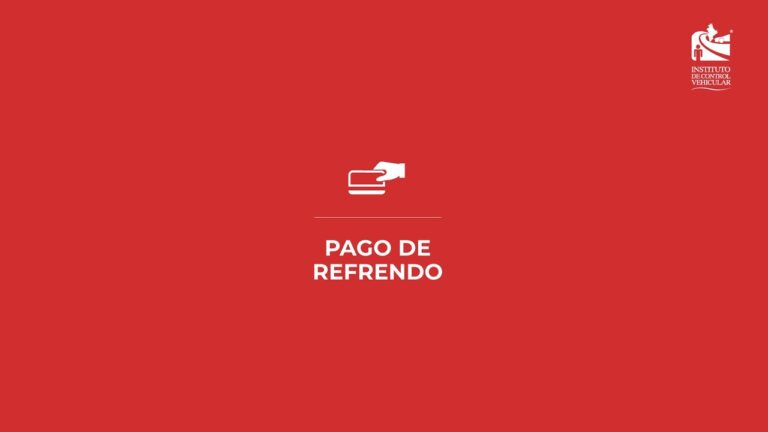 Gu&iacute;a para el Pago de Placas en Monterrey
