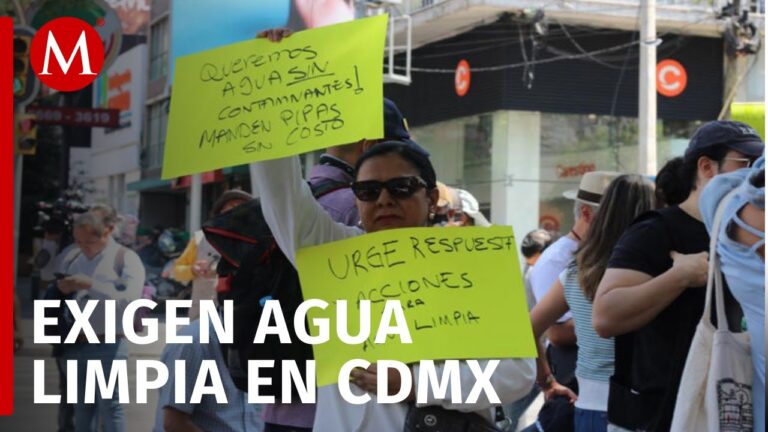 Gu&iacute;a de la Avenida Insurgentes Sur 307: Ubicaci&oacute;n y Servicios
