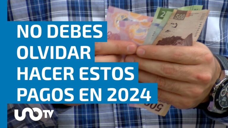 Guía completa de la tenencia en Nayarit