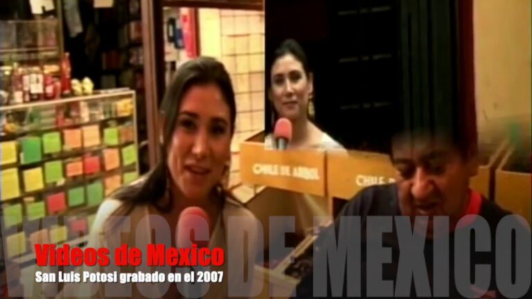 Descubre el Encanto del Mercado Tangamanga en San Luis Potosí