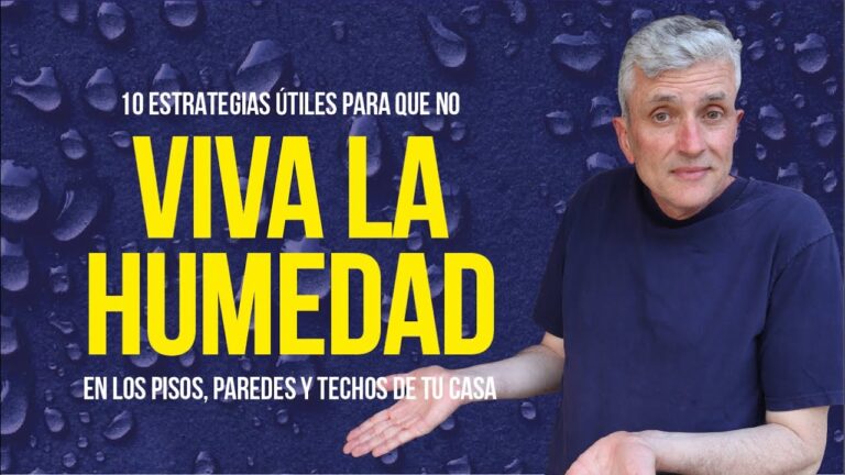 Métodos Efectivos para Eliminar la Humedad en Casa