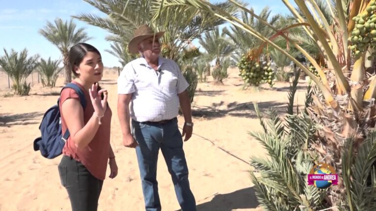 Descubre la Hora Actual en San Luis Río Colorado, Sonora