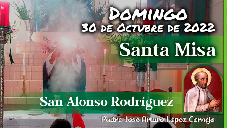 Horario de Soriana Santo Domingo: Todo lo que necesitas saber
