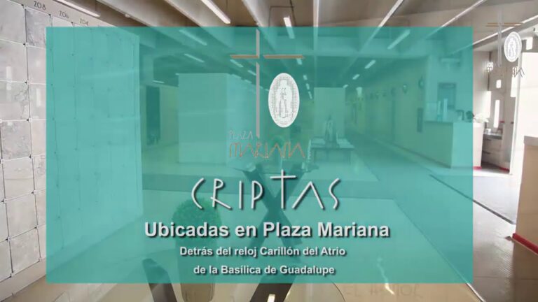 Gu&iacute;a de la Plaza Mariana en CDMX
