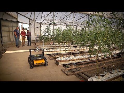 Avances de la tecnociencia en la agricultura
