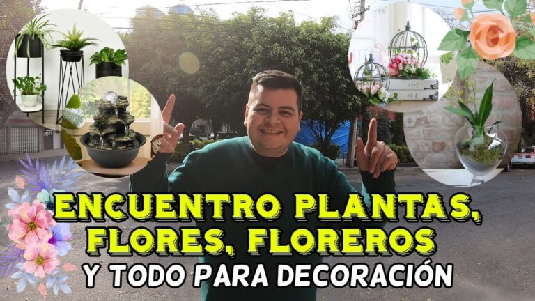 Gu&iacute;a de las mejores florer&iacute;as en Lindavista, CDMX