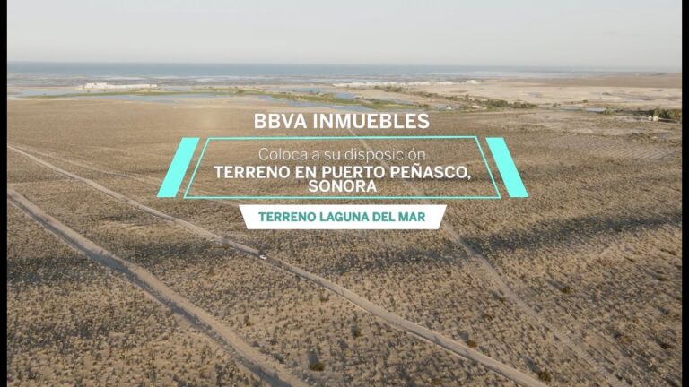 Explorando las Colonias de Puerto Pe&ntilde;asco: Un Destino Imperdible