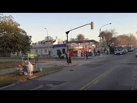 Transformación Urbana en el Eje Central Lázaro Cárdenas 505