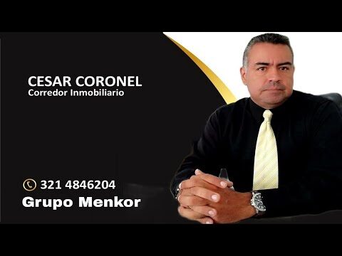 Maximiza tu Productividad con la Escritura por Porcentaje