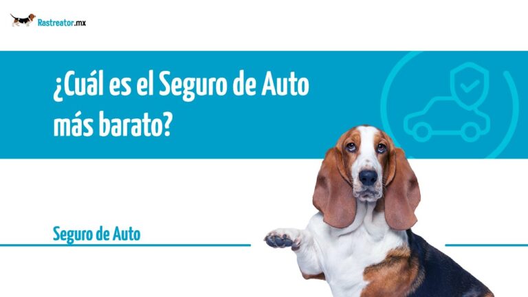 Cómo encontrar el seguro de responsabilidad civil más barato