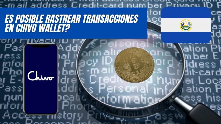 Gu&iacute;a para rastrear un ID de transacci&oacute;n eficientemente