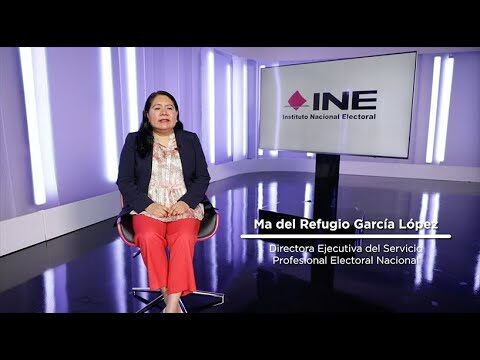 ¿Qué es la ine y para qué sirve?