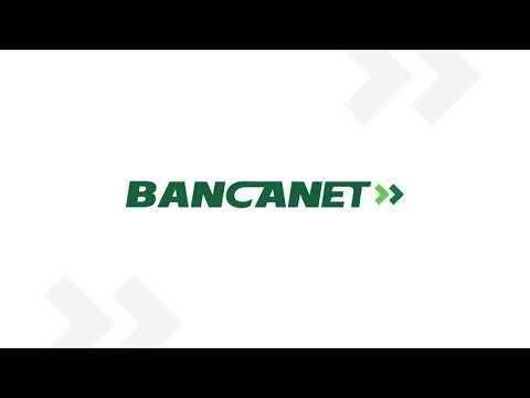 Banaca Net: Innovaci&oacute;n y Oportunidades en el Mundo Digital