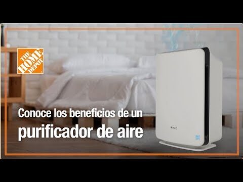 ¿Para Qué Sirve un Purificador de Aire?