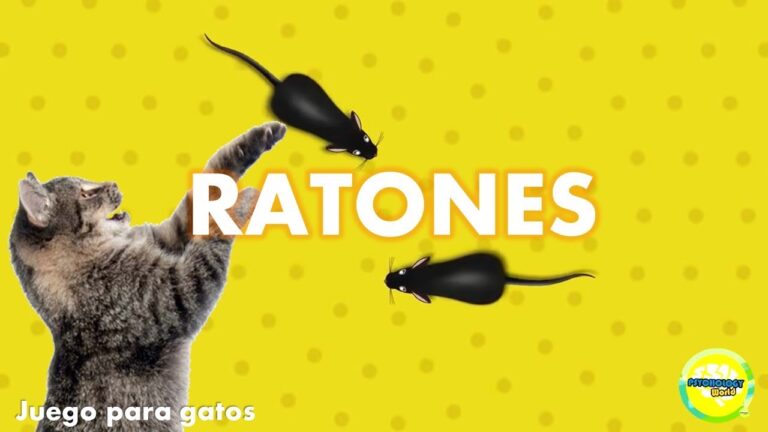 Juegos Móviles para Gatos: Diversión al Alcance de tu Mano