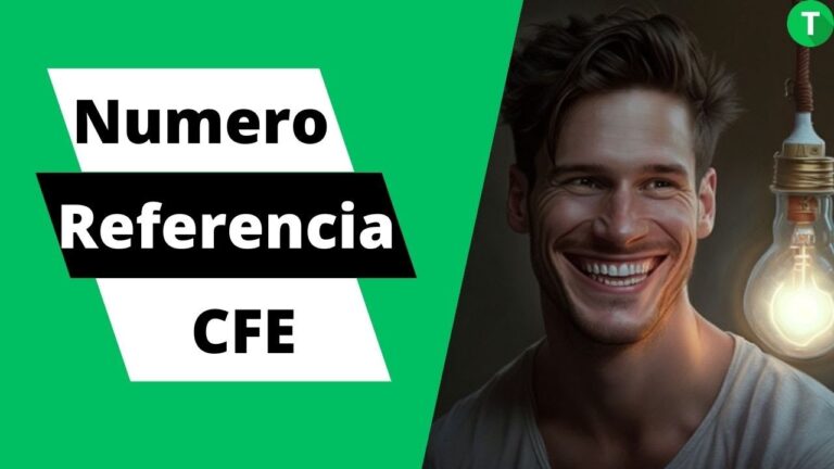 Número de referencia del recibo de luz: ¿Cuál es?