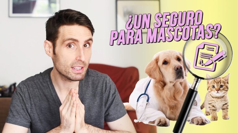Precios del Seguro para Gatos: Todo lo que Debes Saber