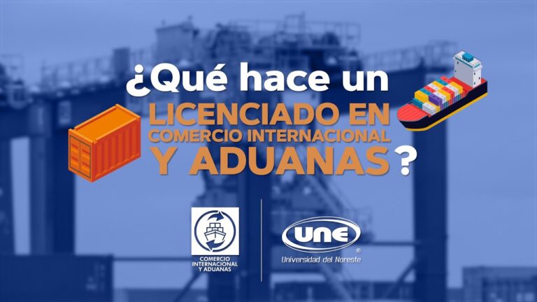 Comercio Internacional y Aduanas en Línea: Claves para el Éxito