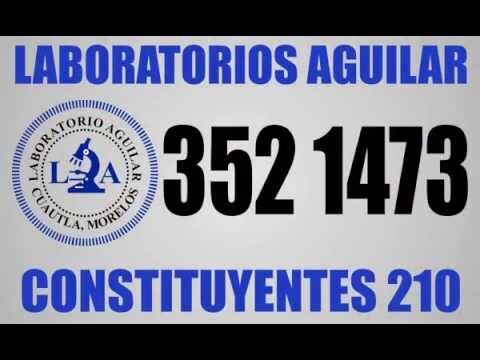 El Chopo Constituyentes: Un Refugio para la Cultura Alternativa