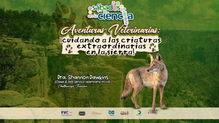 Atenci&oacute;n veterinaria en Cd. Ju&aacute;rez: Encuentra al mejor doctor para tu mascota