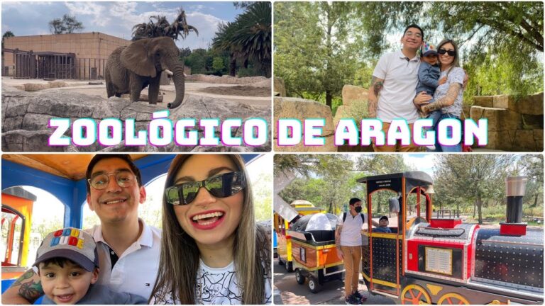 Chedraui San Juan de Aragón: Tu Destino de Compras Ideal
