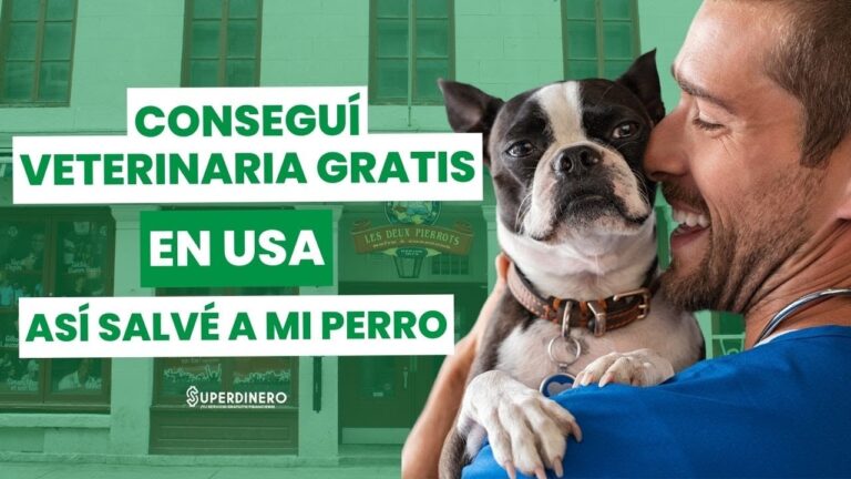 Veterinarios para Perros: Encuentra el Mejor Cerca de Ti