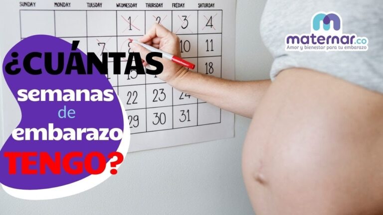 C&oacute;mo Calcular las Semanas de Embarazo