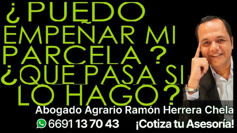 C&oacute;mo empe&ntilde;ar terreno de manera efectiva