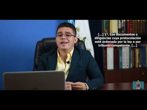 Qu&eacute; significa protocolizar un documento: Gu&iacute;a completa