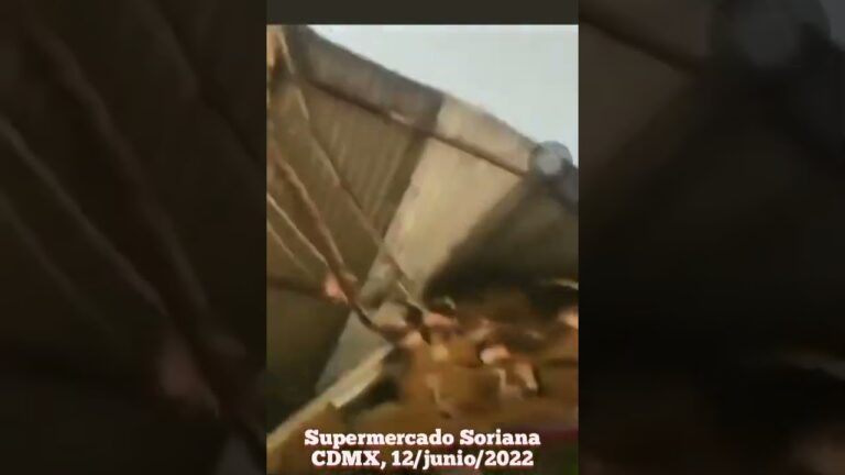 Mega Soriana: Innovaci&oacute;n y Ahorro en Av. Revoluci&oacute;n