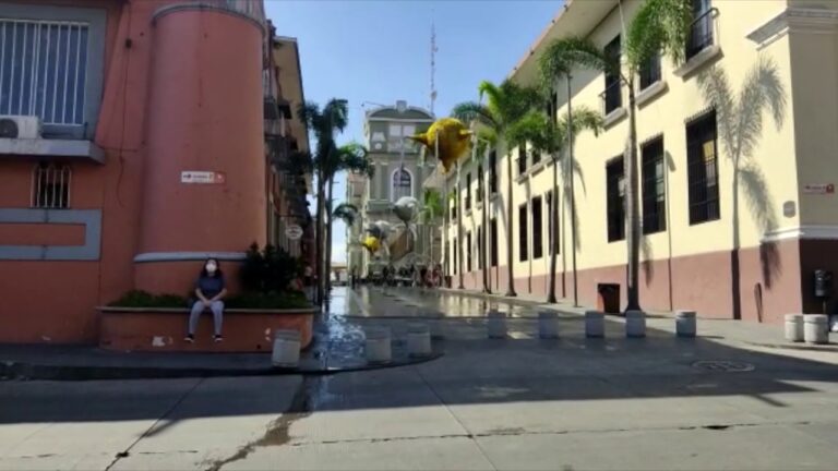 Horario de Chedraui Plaza Cristal: Todo lo que Necesitas Saber