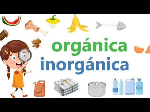 Identificando los Desechos Inorgánicos: Una Guía Esencial